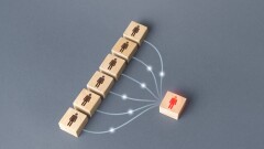 Объявлены результаты парламентских выборов в Узбекистане