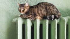 На некоторых улицах Астаны отключат отопление на весь день