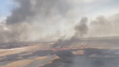 Горящий камыш потушили в Алматинской области