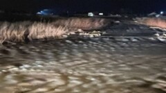 Работу пункта пропуска "Желкуар" приостановили в Костанайской области из-за паводков
