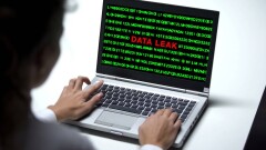Данные казахстанцев планируют использовать для научных исследований и обучения ИИ