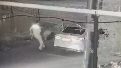 В Хромтау пьяный мужчина выстрелил в прохожего