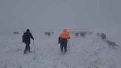 Из-за сильной метели в Актюбинской области потерялся мужчина, его нашли спасатели