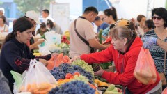 Региональные ярмарки стартуют в Астане: цены на продукты будут ниже рыночных на 15-20%