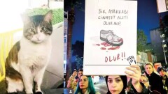 "Как такое вообще возможно". Эрдоган высказался об убийстве кота Эроса в Турции