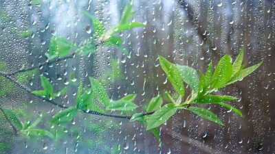 Дожди, грозы и град прогнозируют синоптики на выходные в Казахстане