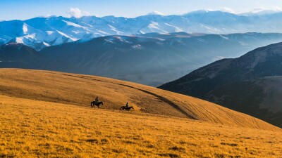 8,3 млн га земли вернули государству с начала прошлого года