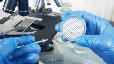 Кишечная палочка и старые лекарства: 19 директоров школ наказали в Карагандинской области