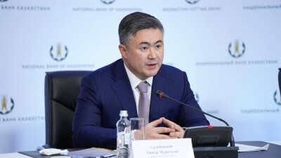 Сулейменов объяснил, почему вырос курс доллара