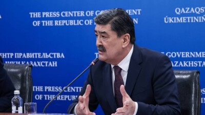 Министр экологии об усыплении бродячих собак: Как быть, если ОСВВ не работает?