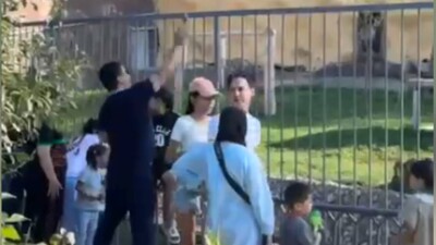 Кидал камни во льва: зоопарк Алматы заявил в полицию на одного из посетителей