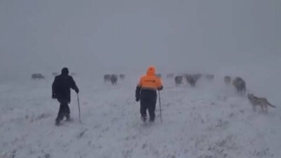 Из-за сильной метели в Актюбинской области потерялся мужчина, его нашли спасатели