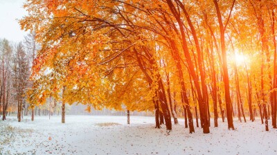 +26 в Таразе, +23 в Алматы: экстремально тёплый ноябрь побил температурные рекорды в регионах Казахстана