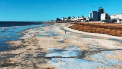 Очередной участок на побережье Каспия вернули государству