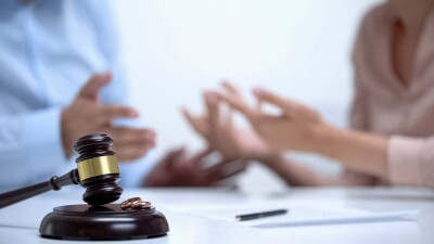 Организатора пирамиды, которую приговорили к 5 годам заключения, выпустили на свободу через год