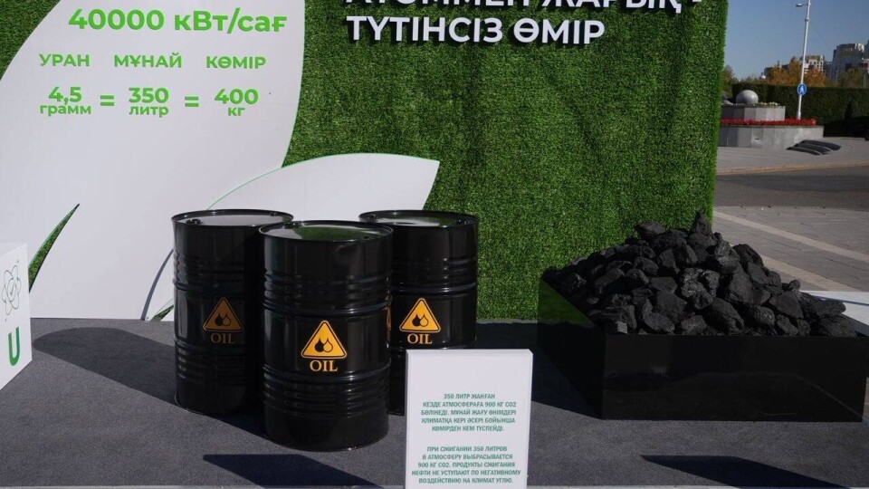 Малую архитектурную форму в честь Дня работников атомной отрасли установили в Астане