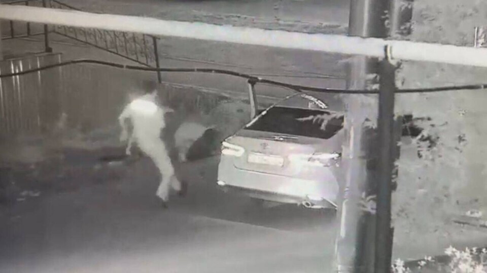 В Хромтау пьяный мужчина выстрелил в прохожего