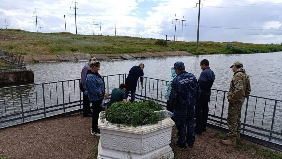 Гибель рыб на канале Сатпаева: инспекторы выехали на место
