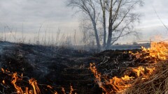Ауа райы болжамы: Қазақстанның басым бөлігінде өрт қаупі сақталады