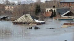Қазақстандағы су тасқыны: 31 мыңнан астам адам үйлеріне оралды
