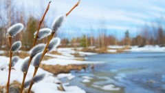 5 және 6 наурызда Қазақстанда күн жылы болады