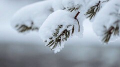 Алдағы күндері Қазақстанда қар жауып, күн жылынады