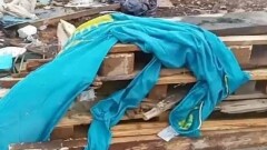 Атырауда көк туды аяқасты еткендер жазаға тартылады. Сотқа дейінгі тергеу басталды