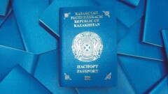 Жаңа жүйе іске қосылды: Қандас мәртебесі мен "Ата жолы" картасы қызметін көрсетеді