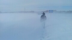 Абай облысында полиция аязда жолда қалған Моңғолия азаматтарына көмектесті