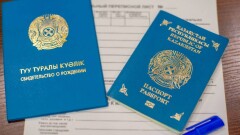 Жыл басынан бері 13,6 мыңға жуық этникалық қазақ қандас мәртебесін алды