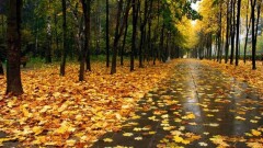 Жаңбыр, найзағай: Демалыс күндеріне арналған ауа райы болжамы