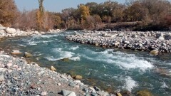 Талғарда судың көтерілуіне байланысты Алматы облысында су басу қаупі пайда болды