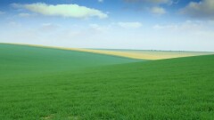 Құны 7 млрд теңге болатын жер телімдері мемлекетке қайтарылды
