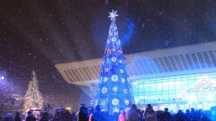 Астана мен Алматыдағы жаңа жылдық шыршалар ТМД елдеріндегі ең биік шыршалар ондығына енді