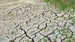 Жаңбыр жауғызып, климатты реттейді: Қазақстан ғалымдары құрғақшылықты болдырмайтын технологияны сынақтан өткізіп жатыр