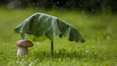 Қазақстандықтарды демалыс күндері қысқа мерзімді жаңбыр мен жел күтеді