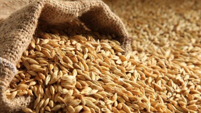 Ақмола облысында кәсіпорын қызметкері 7 тонна астық өнімін заңсыз сатқан