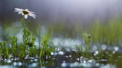 Демалыс күндері Қазақстанда күн суық әрі жауын-шашынды болады