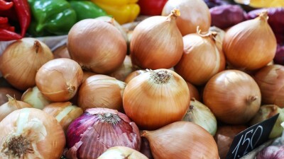 Жамбыл диқандарының қоймадағы тонналаған пиязы қоқысқа айналып жатыр
