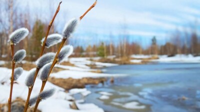 5 және 6 наурызда Қазақстанда күн жылы болады