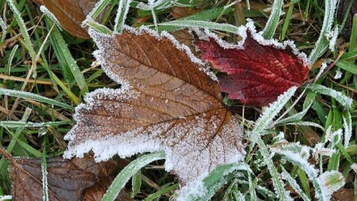 Қазақстанда күн 5 градусқа дейін суытады