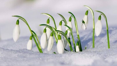 Батыста күн жылынса, оңтүстікте қар жауады: наурызда Қазақстанды қандай ауа райы күтіп тұр?