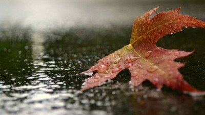 Ауа райы құбылмалы болады: Үш күнге арналған болжам