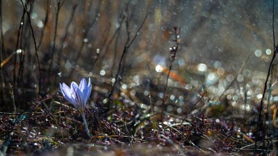 Қазақстанның солтүстігінде 18 градусқа дейін аяз болады