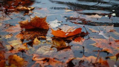 Қарашаның соңында Қазақстан бойынша жауын-шашын болады