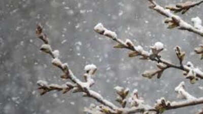 Қазақстанның шығысында қар жауады