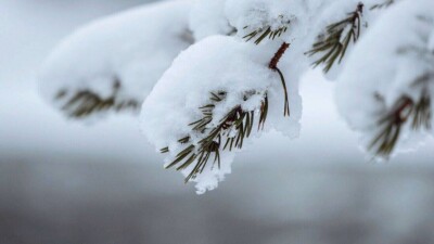 Алдағы күндері Қазақстанда қар жауып, күн жылынады