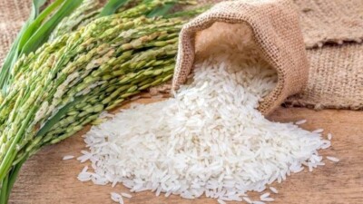 Қызылордада 2 тоннадан астам күріш ұрлаған қылмыстық топ ұсталды