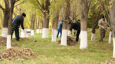 21 қазанда Алматыда жалпықалалық сенбілік өтеді