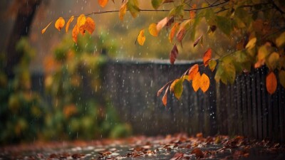 14-16 қараша күндері Қазақстанда күн жылы болады